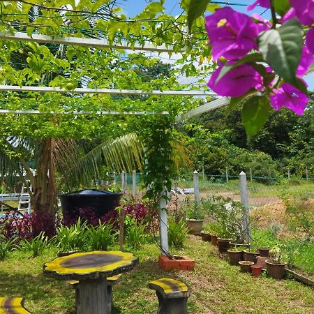 Tehel Farmhouse Malacca Esterno foto